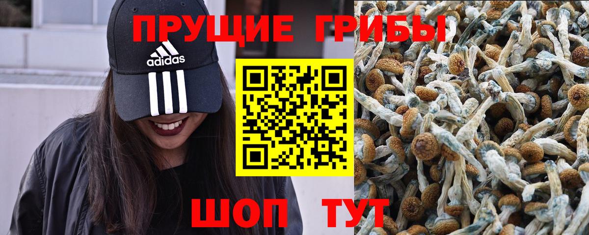 Семилуки  Галлюциногенные грибы MAGIC MUSHROOMS  Вход с VPN 