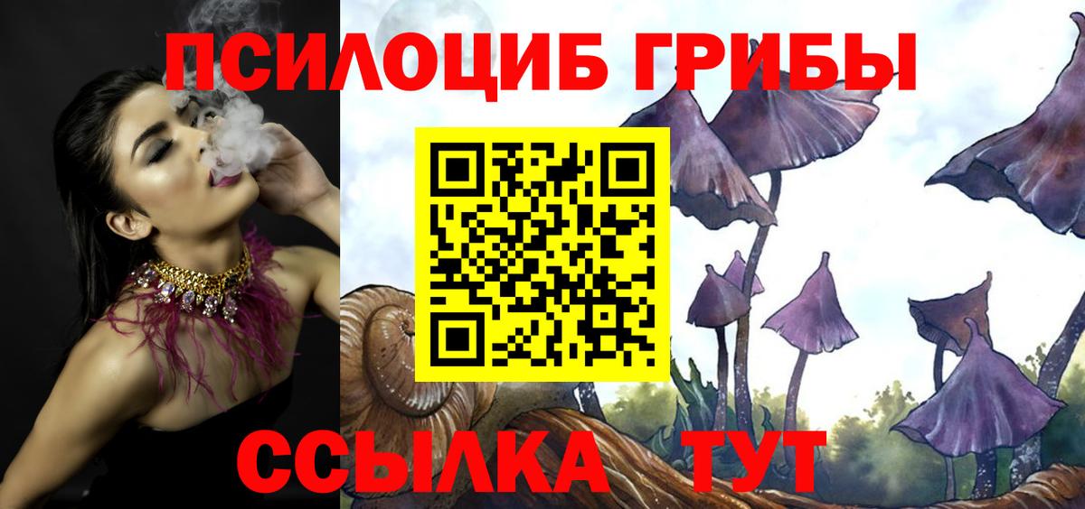 Псилоцибиновые грибы Psilocybe Семилуки